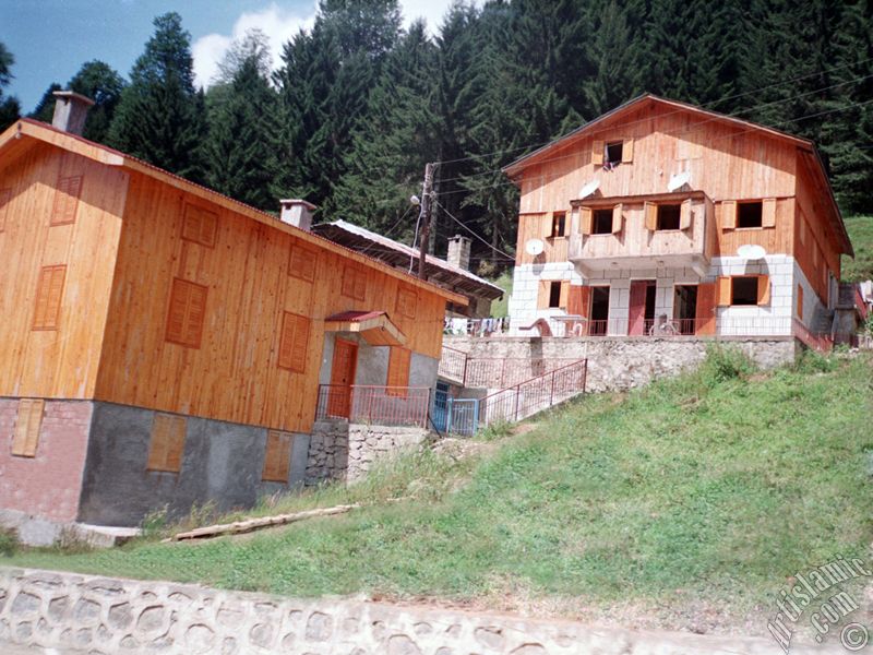 View of Ayder high plateau and spa located in Rize city of Turkey.
