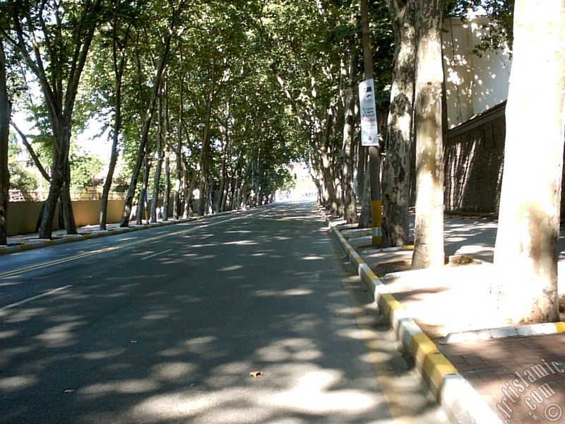 View towards Besiktas district from the way of Dolmabahce-Besiktas in Istanbul city of Turkey.
