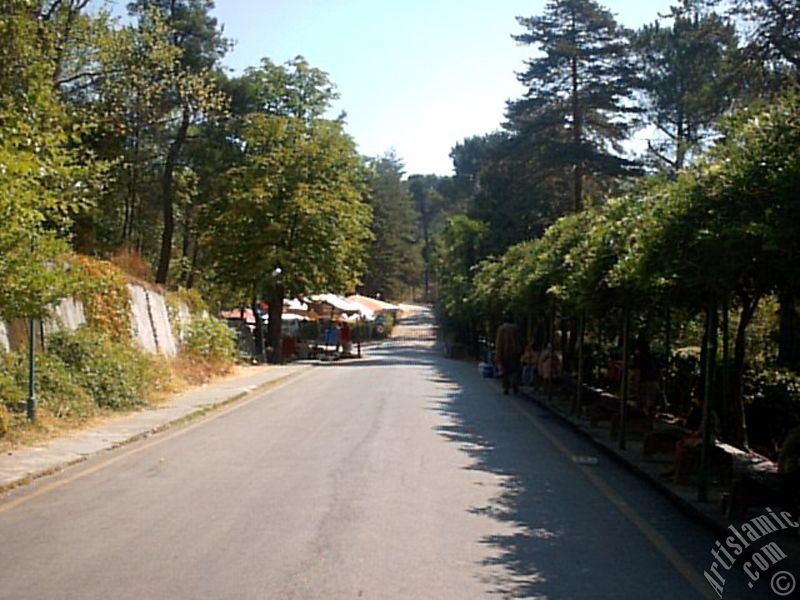View of Termal-Gokcedere Village in Yalova city of Turkey.
