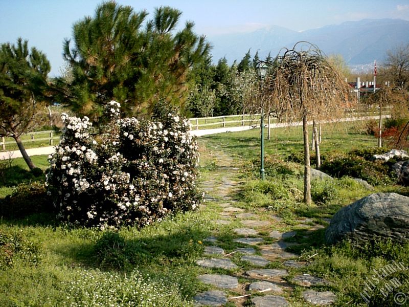 View of Botanical Park in Bursa city of Turkey.
