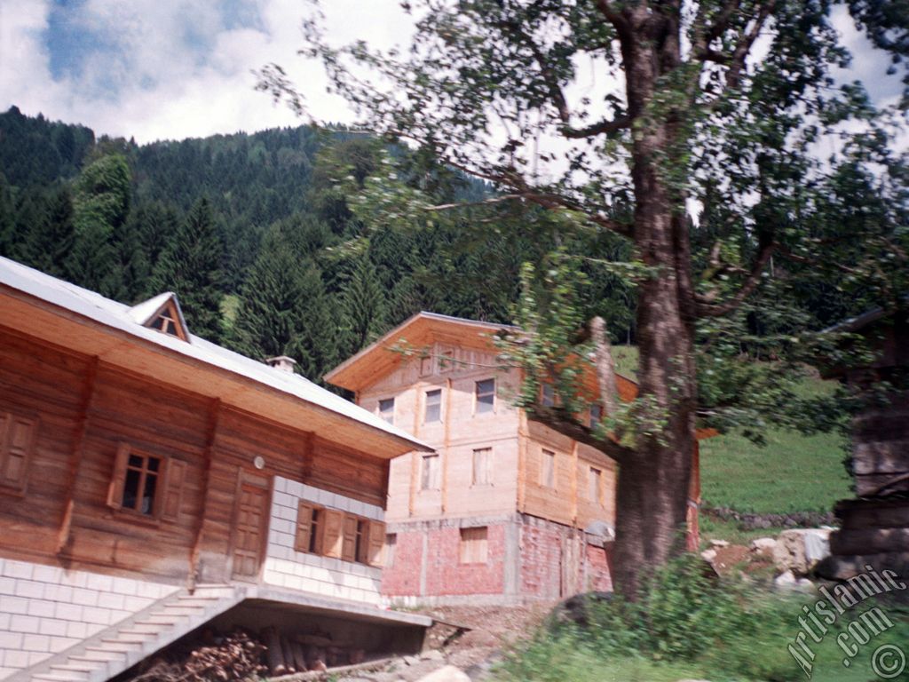 View of Ayder high plateau and spa located in Rize city of Turkey.
