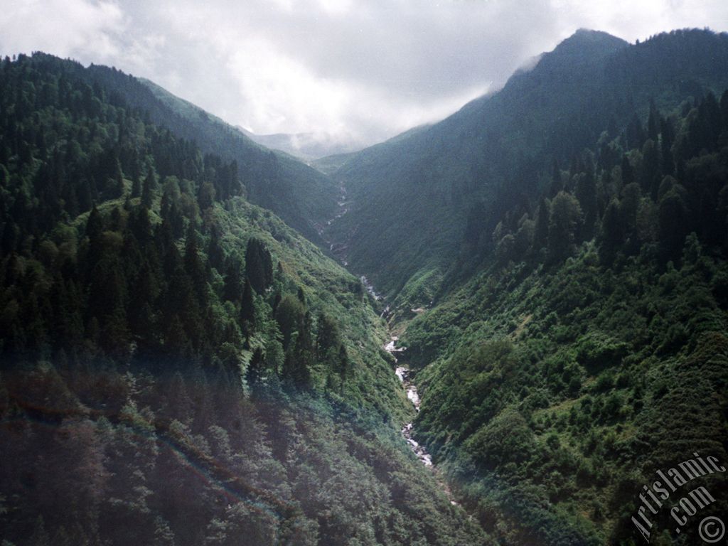 View of Ayder high plateau and spa located in Rize city of Turkey.

