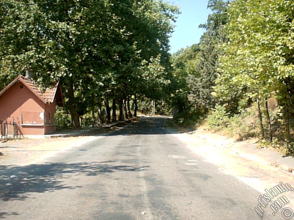 View of Termal-Gokcedere Village in Yalova city of Turkey.
