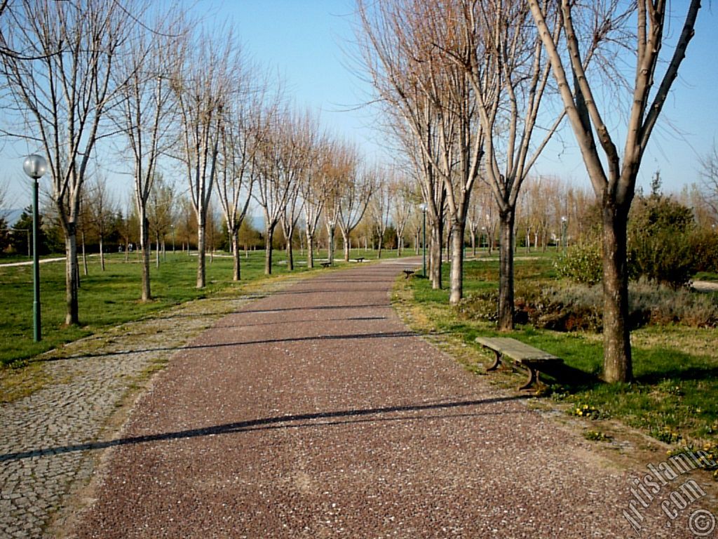 View of Botanical Park in Bursa city of Turkey.

